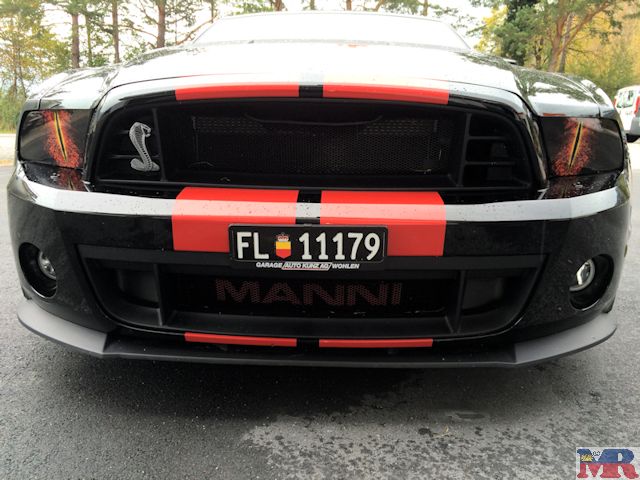 Shelby Black Beast
