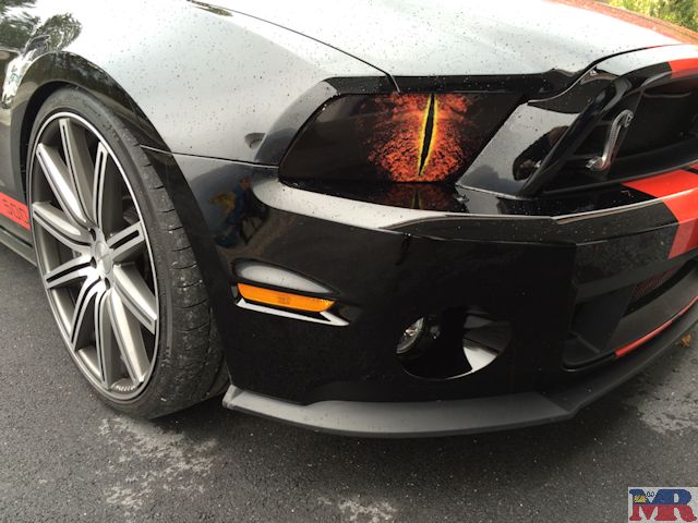 Shelby Black Beast
