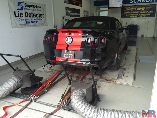 Shelby GT500 Pr�fstand