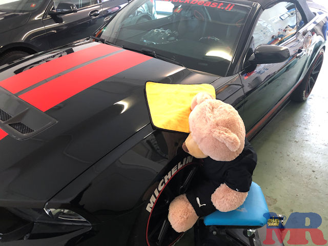 Ford Mustang Selby GT500 Convertible Teddy